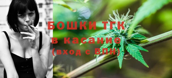 твердый Алексеевка