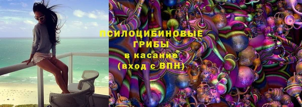 молекула духа Алексин